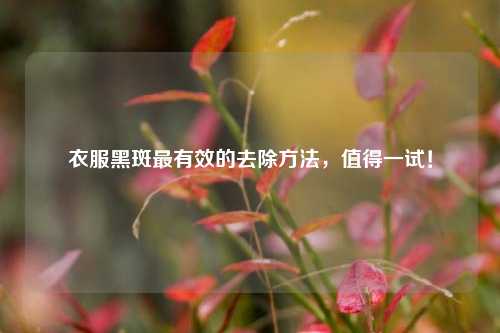 衣服黑斑最有效的去除 *** ,值得一试!