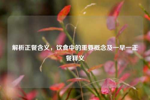 解析正餐含义,饮食中的重要概念及一早一正餐释义