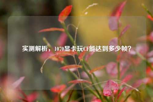 实测解析,1070显卡玩CF能达到多少帧?