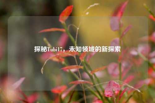 探秘Tubi17,未知领域的新探索