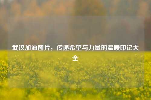 武汉加油图片,传递希望与力量的温暖印记大全