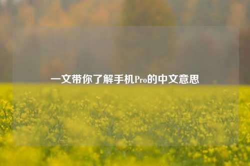 一文带你了解手机Pro的中文意思