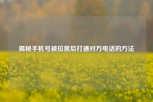 揭秘手机号被拉黑后打通对方 *** 的 ***
