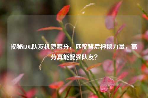 揭秘LOL队友机隐藏分,匹配背后神秘力量,高分真能配强队友?