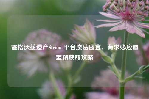 霍格沃兹遗产Steam 平台魔法盛宴,有求必应屋宝箱获取攻略