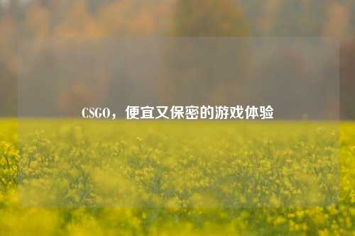 CSGO,便宜又保密的游戏体验