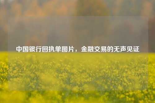 中国银行回执单图片,金融交易的无声见证