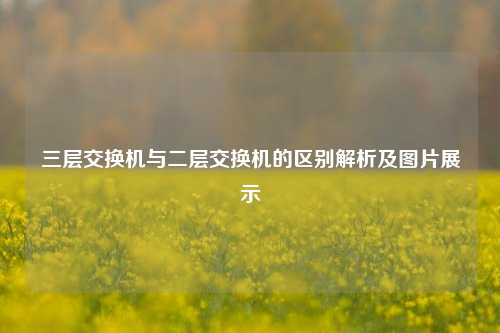 三层交换机与二层交换机的区别解析及图片展示