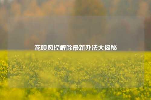 花呗风控解除最新办法大揭秘