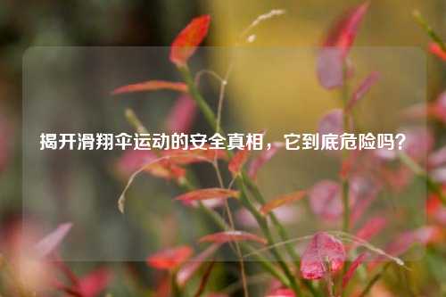 揭开滑翔伞运动的安全真相,它到底危险吗?