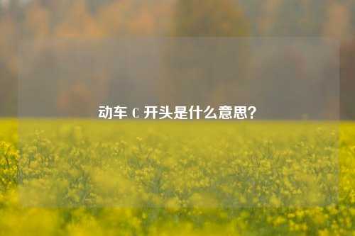 动车 C 开头是什么意思?