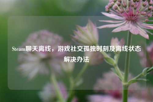 Steam聊天离线,游戏社交孤独时刻及离线状态解决办法