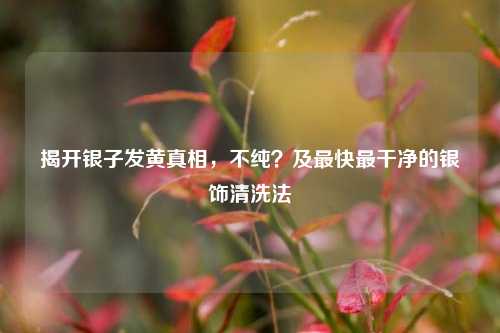 揭开银子发黄真相,不纯?及最快最干净的银饰清洗法