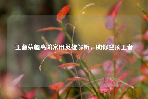 王者荣耀高阶常用英雄解析,助你登顶王者
