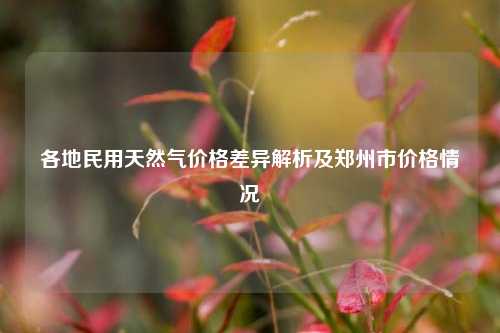 各地民用天然气价格差异解析及郑州市价格情况