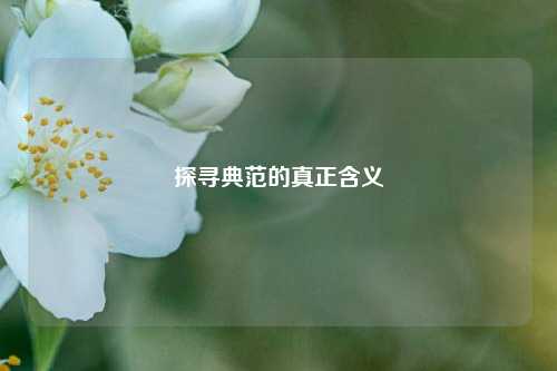 探寻典范的真正含义
