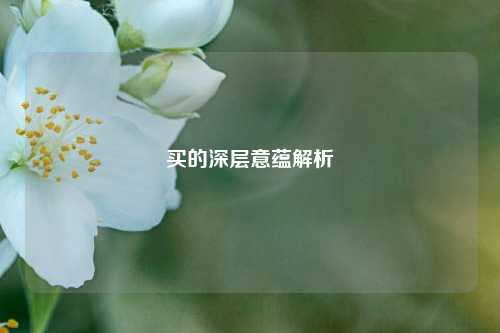 买的深层意蕴解析