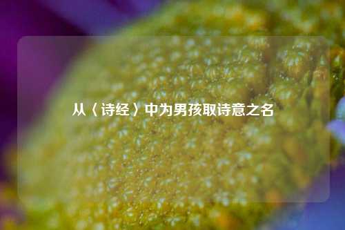 从〈诗经〉中为男孩取诗意之名