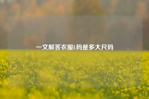 一文解答衣服L码是多大尺码