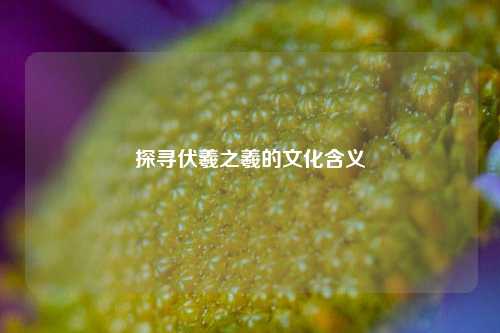 探寻伏羲之羲的文化含义