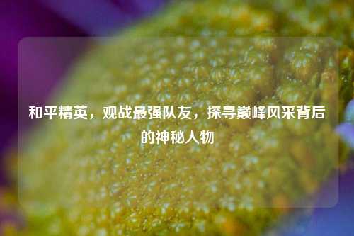 和平精英,观战最强队友,探寻巅峰风采背后的神秘人物