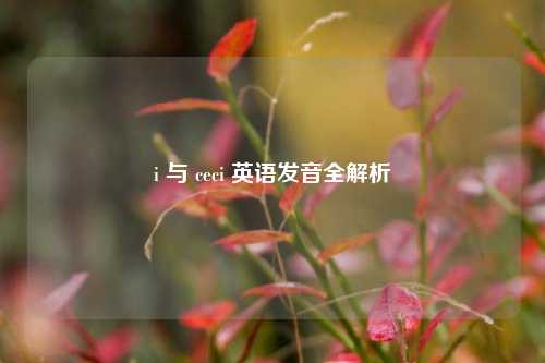i 与 ceci 英语发音全解析