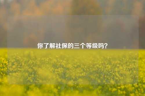 你了解社保的三个等级吗?