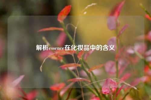 解析essence在化妆品中的含义