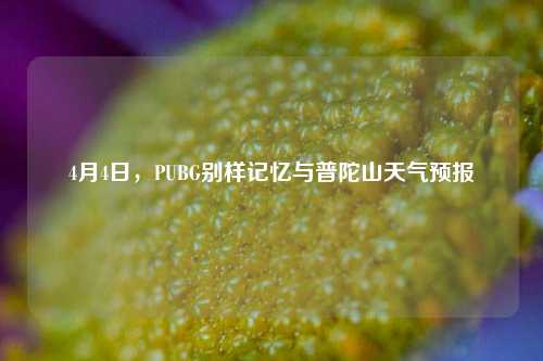 4月4日,PUBG别样记忆与普陀山天气预报