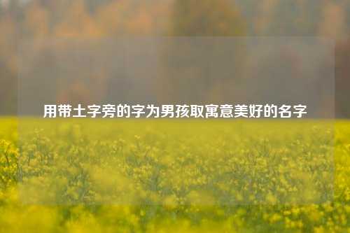 用带土字旁的字为男孩取寓意美好的名字