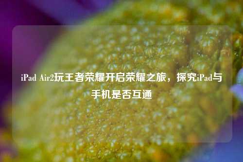 iPad Air2玩王者荣耀开启荣耀之旅,探究iPad与手机是否互通