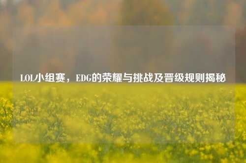 LOL小组赛,EDG的荣耀与挑战及晋级规则揭秘