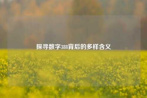 探寻数字388背后的多样含义