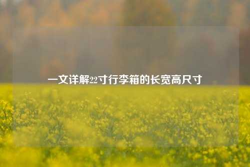 一文详解22寸行李箱的长宽高尺寸