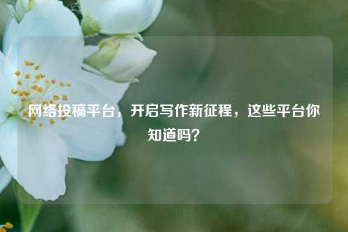 *** 投稿平台,开启写作新征程,这些平台你知道吗?