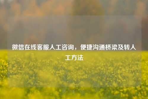 微信在线 *** 人工咨询,便捷沟通桥梁及转人工 ***