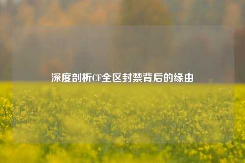 深度剖析CF全区封禁背后的缘由