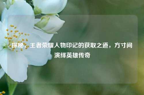 探秘,王者荣耀人物印记的获取之道,方寸间演绎英雄传奇