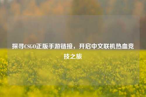 探寻CSGO正版手游链接,开启中文联机热血竞技之旅