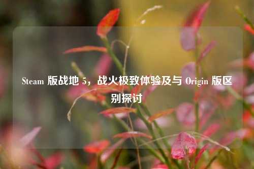 Steam 版战地 5,战火极致体验及与 Origin 版区别探讨