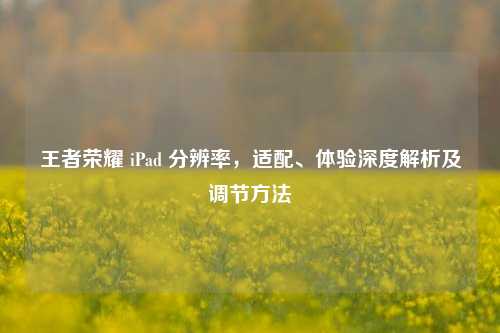 王者荣耀 iPad 分辨率,适配、体验深度解析及调节 ***