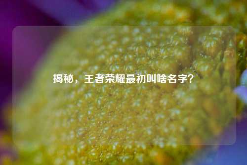 揭秘,王者荣耀最初叫啥名字?