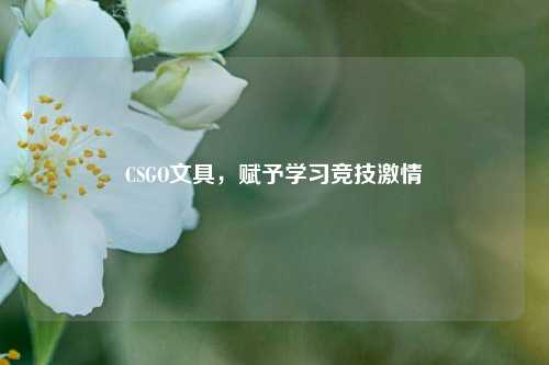CSGO文具,赋予学习竞技***