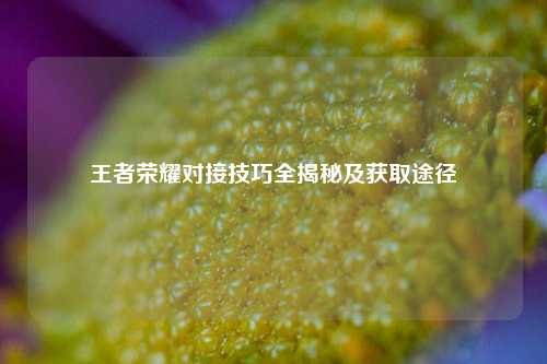 王者荣耀对接技巧全揭秘及获取途径