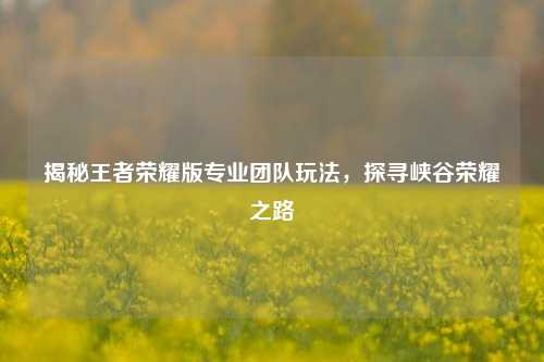 揭秘王者荣耀版专业团队玩法,探寻峡谷荣耀之路