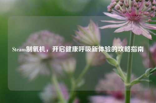 Steam制氧机,开启健康呼吸新体验的攻略指南