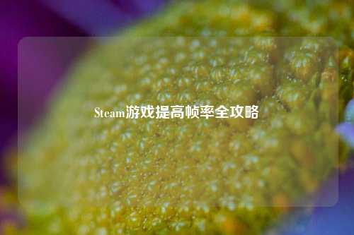 Steam游戏提高帧率全攻略