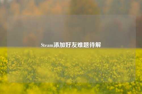Steam添加好友难题待解