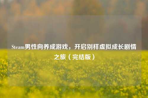 Steam男性向养成游戏,开启别样虚拟成长剧情之旅(完结版)