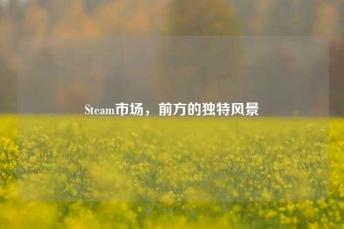 Steam市场,前方的独特风景